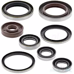 Uszczelniacze silnika komplet Bearing Worx OSK60320 (822320)