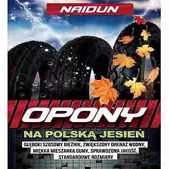 OPONA NAIDUN 3.50-10