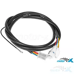 Wiązka przewodów do modułu ECU Polini 171.001, Yamaha Skycruiser / X-City / X-Max 125 4V 4T 10-
