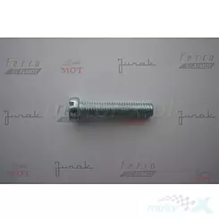 Wkręt 6x30mm do skręcania silnika