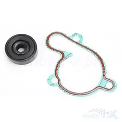 Zestaw naprawczy pompy wody Bearing Worx WMK90001 (WPK0021)