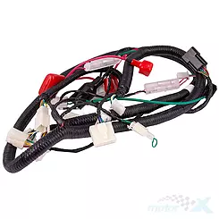 Instalacja elektryczna Falcon Euro 4