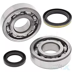 Łożyska koła tylnego z uszczelniaczami All Balls 25-1262 Suzuki RM 250 '88-'91