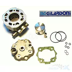 Cylinder kompletny z głowicą Airsal Nicasil 48.00mm 75cc Derbi / GPR LC