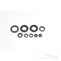 Uszczelniacze silnika komplet, Athena P400220400250