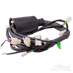 Instalacja elektryczna ATV Force