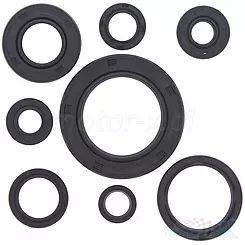 Uszczelniacze silnika komplet Bearing Worx OSK30111 (822111)