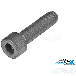 Śruba lusterka prawego M8x30, lewy gwint, Aprilia SR 50 R 04- / SR 50 R Factory 04-