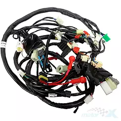 Instalacja elektryczna Barton Falcon 50 Euro 5