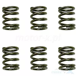 Sprężyny sprzęgła napędowego Psychic Motorsports MX-03233A (EBS021)