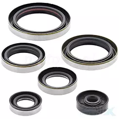 Uszczelniacze silnika komplet Bearing Worx OSK40269 (822269)