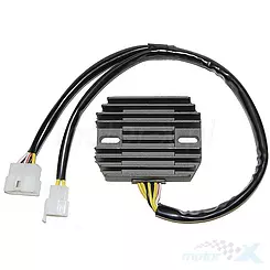 Regulator napięcia Electrosport ESR296