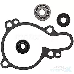 Zestaw naprawczy pompy wody Hot Rods WPK0033