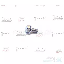 Śruba M8x14mm stelaża oparcia pasażera chrom Junak M11 125/320