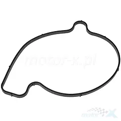 Uszczelka pompy wody Athena S410089024001