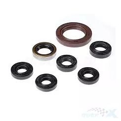 Uszczelniacze silnika komplet Bearing Worx OSK70201 (822201)