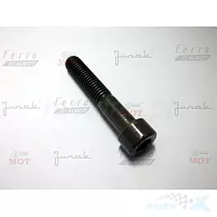ŚRUBA M8x80 MOCOWANIA MOSTKA KIEROWNICY M16