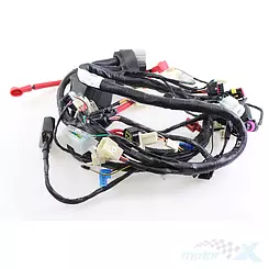 Instalacja elektryczna Benelli TNT 125 Euro 4 17-19