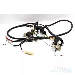 Instalacja elektryczna Barton RS