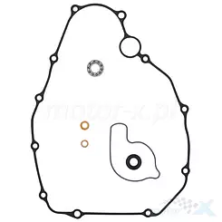 Zestaw naprawczy pompy wody Centauro 666A015WB