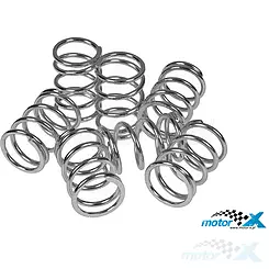Sprężyny sprzęgła Malossi, Vespa T5 125 / Rally 125-180 / Cosa 125-200 / P 200 E / PX 200 E (7szt)