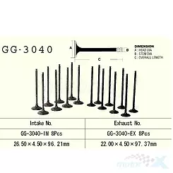 Zawór ssący Vesrah GG-3040-IN