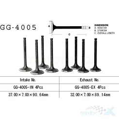 Zawór ssący Vesrah GG-4005-IN