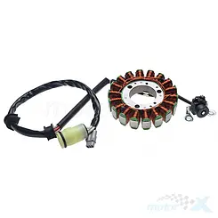 Stator iskrownik, stojan alternatora, WM Motor, Yamaha YFM 250 Raptor 08-13