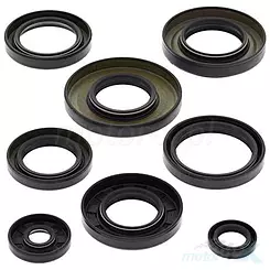 Uszczelniacze silnika komplet Vertex 822253