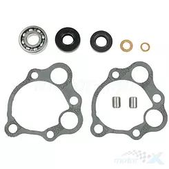 Zestaw naprawczy pompy wody Centauro 666A005WP