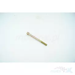 Śruba M6x70 mm