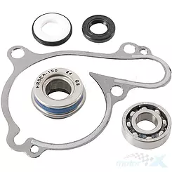 Zestaw naprawczy pompy wody Hot Rods WPK0028