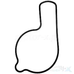 Uszczelka pompy wody Athena S410210024055, Honda TRX 450 R 
