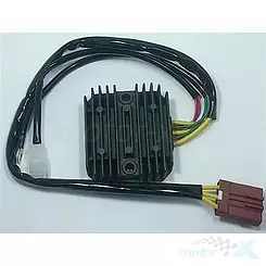 Regulator napięcia Tourmax RGU-601