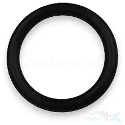 Oring QJMotor 169246600000