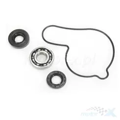 Zestaw naprawczy pompy wody Bearing Worx WMK90007 (WPK0027)