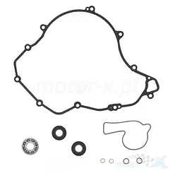 Zestaw naprawczy pompy wody Centauro 731A025WB