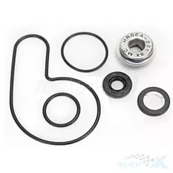 Zestaw naprawczy pompy wody Bearing Worx WMK70008 (WPK0054)