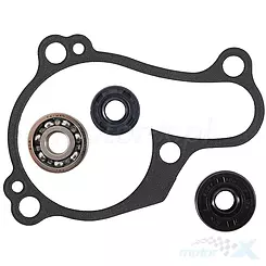 Zestaw naprawczy pompy wody Hot Rods WPK0059