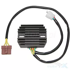 Regulator napięcia Electrosport ESR916