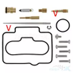 Zestaw naprawczy gaźnika Bearing Worx CK30766 (26-1164)