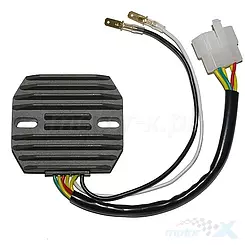 Regulator napięcia Electrosport ESR240