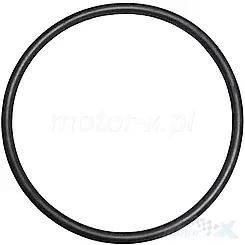 Oring 159516570000 QJMotor SVT 650 / SVT 650 X