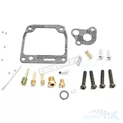 Zestaw naprawczy gaźnika Bearing Worx CK90743 (26-1139)