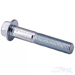 Śruba M10x55mm 