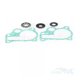 Zestaw naprawczy pompy wody Bearing Worx WMK30005 (WPK0011)