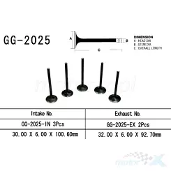 Zawór wydechowy Vesrah GG-2025-EX