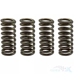 Sprężyny sprzęgła napędowego Psychic Motorsports MX-03632A (EBS174)
