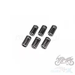 Sprężyny sprzęgła napędowego zestaw 6 sztuk ATV 200 / ATV 250