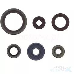 Uszczelniacze silnika komplet, Athena P400060400011, Beta RR 250 13-24 / RR 300 13-24